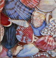 6" Square Multiple Shells 1 Ceramic Tile