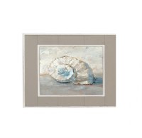 15" Square Snail Shell Framed Gel Print Under Glass