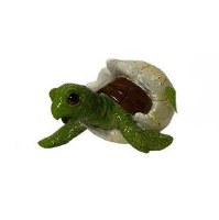 3.5" Turtle In Egg With Head Facing Down