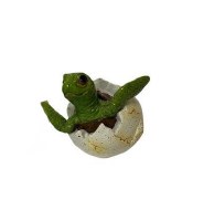 3.5" Turtle In Egg With Head Facing Up