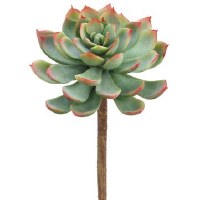 7" Faux Green and Red Echeveria