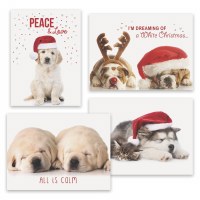 8" x 6" Box of 16 Assorted Puppy Christmas Cards