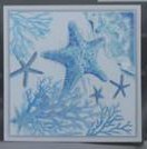 24" Square Blue and White Starfish Framed Coastal Canvas