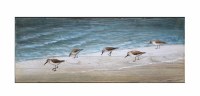 10" x 48" Sandpipers Strolling Slate Wall Plaque