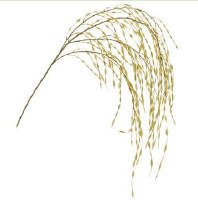 47" Faux Gold Glitter Hanging Willow Spray