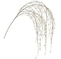 47" Faux Silver Glitter Hanging Willow Spray