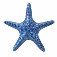 6" Blue Polyresin Faux Ceramic Starfish Figurine