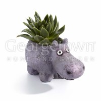 3" Gray Hazel the Hippo Planter