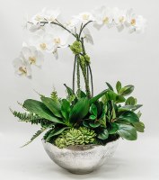 29" Faux White Orchid Trio and Succulents in Large Silver Bowl