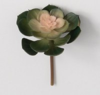 5" Faux Green and Pink Echeveria Succulent