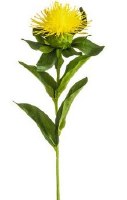 10" Faux Yellow Pincushion Protea Spray