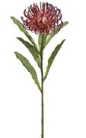 26" Faux Burgundy Open Needle Protea Spray