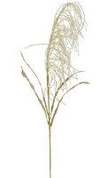 36" Faux Ivory Reed Grass Bloom Spray