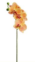 24" Faux Orange and Burgundy Small Phaleo Orchid Spray