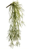 24" Faux Green Hanging Pencil Cactus Bush