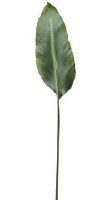 36" Faux Green Bird of Paradise Leaf Spray