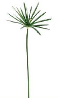 42" Faux Green Cypress Grass Stem