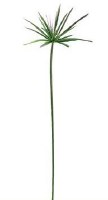 60" Faux Green Cypress Grass Stem