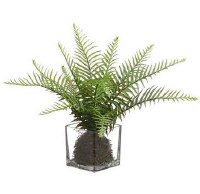 11" Faux Green Sword Fern in Square Glass Vase