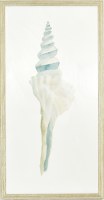 42" x 22" Aqua Whelk Shell Gel Textured Print in a Gray Frame