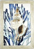 40" x 28" Fox Shell Gel Textured Coastal Print in Gray Frame