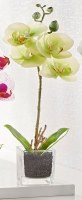 13" Faux Green Mini Orchid in Square Glass Pot