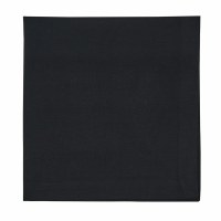 20" Square Black Elements Cloth Napkin