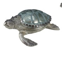 9" Blue and Silver Turtle Box