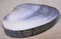 7" River Clam and Cracked Abalone Velvet Lined Box