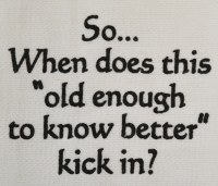 "So... When Does This Old Enough to Know Better Kick In?" Kitchen Towel