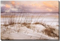 38" x 60" Purple Sunset Whispers in the Dunes Canvas Wall Art