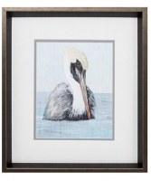 17" x 15" White and Gray Pelican Portrait With Brown Frame Under Glass