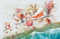 5" x 8" Seashore Treasures Birthday Card