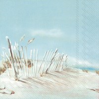 5" Square Beach Fence Beverage Napkins