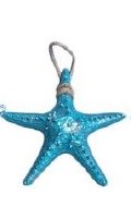 9" Turquoise Chunky Starfish on Rope