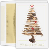 8" x 6" Box of 16 8" x 6" Driftwood Christmas Tree Cards