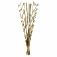 10 oz Bundle of 40" Natural Elephant Reeds