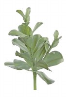 15" Faux Sage Coastal Succulent