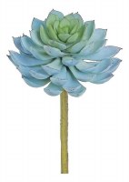 5" Faux Blue Sage Echeveria