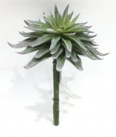 7" Faux Frost Sage Sword Succulent