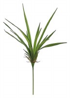 23" Faux Green Narrow Leaf Dracaena