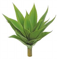 15" Faux Green Aloe Plant
