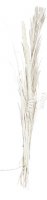 56" Whitewashed Dried Grass Stalk Bouquet