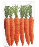 Box of 6 8" Orange and Green Raffia Carrots