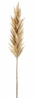 61" Faux Beige Pampas Grass Spray