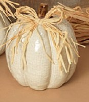 6" Distressed White Ceramic Round Pumpkin Fall and Thanksgiving Decoration