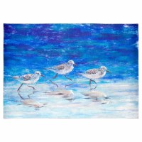 1.11' x 2.11' Sea Birds Ocean Indoor/Outdoor Mat
