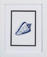 11" x 9" Navy Cone Shell in White Frame Under Glass