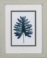 11" x 9" Blue Monstera Leaf in Tan Frame Under Glass