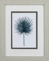 11" x 9" Blue Palmetto Frond in Tan Frame Under Glass